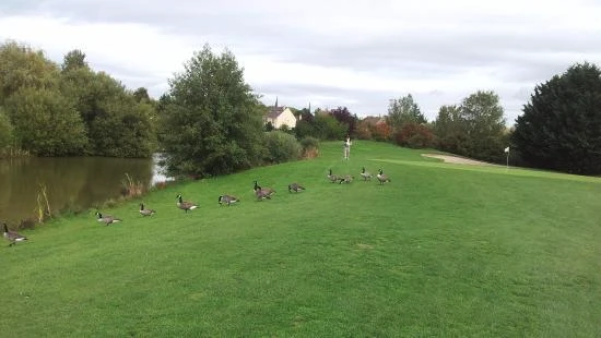 Golf de Loches-Verneuil
